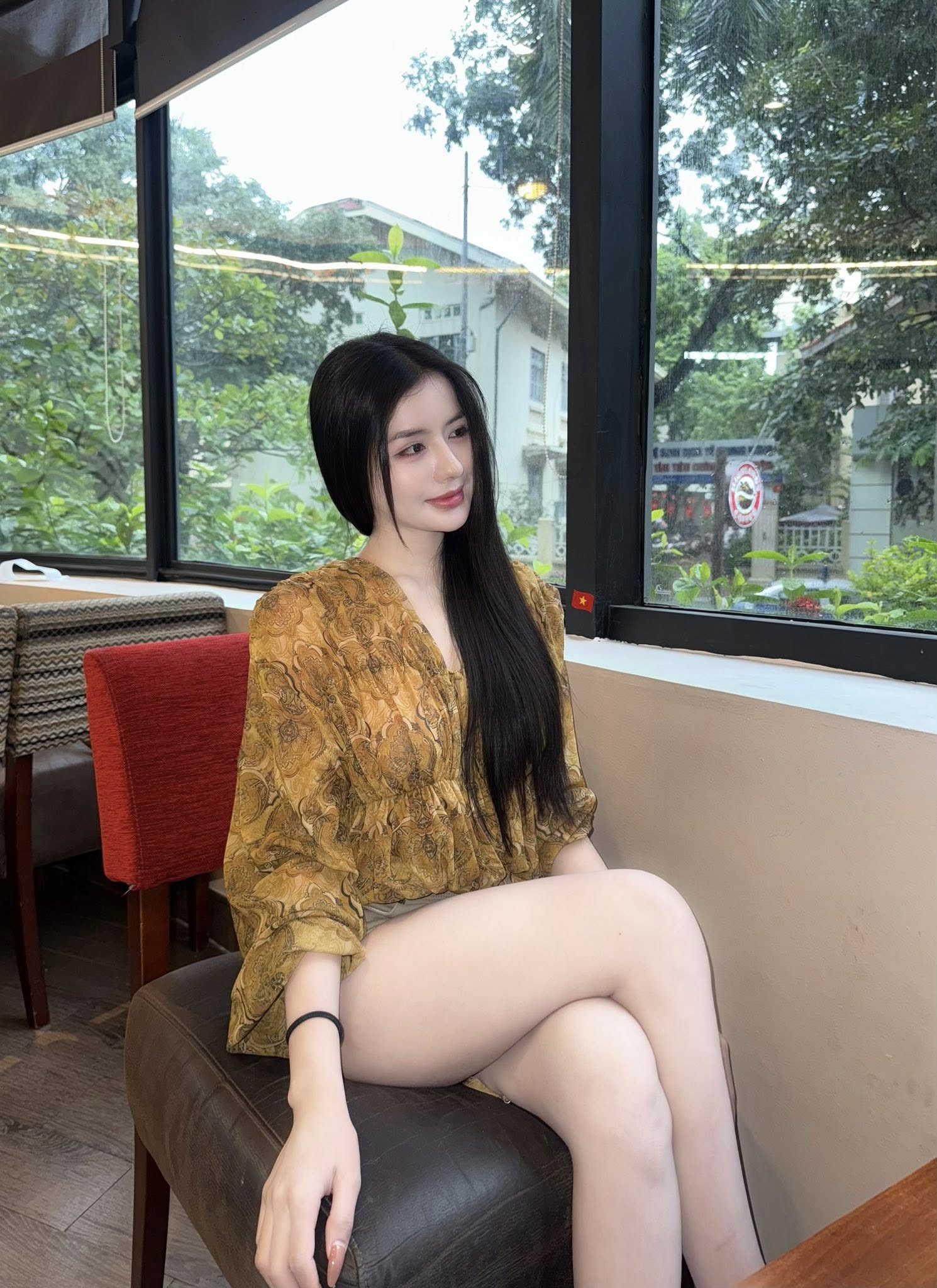 春日樱花恋